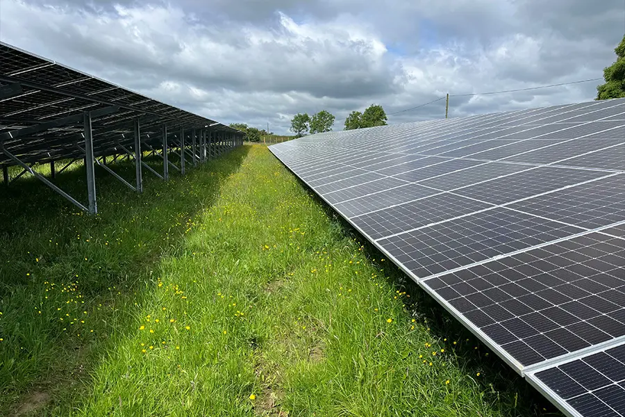 Ground Mount vs. Roof Mount: Use the Lawn